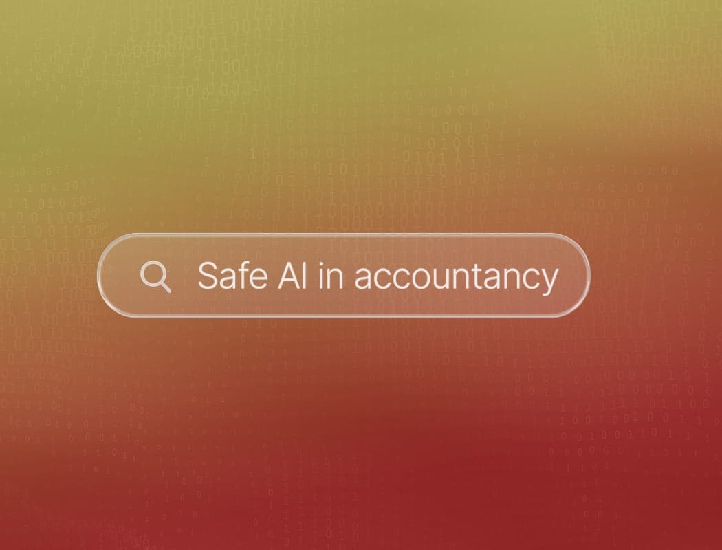 Safe AI accountancy