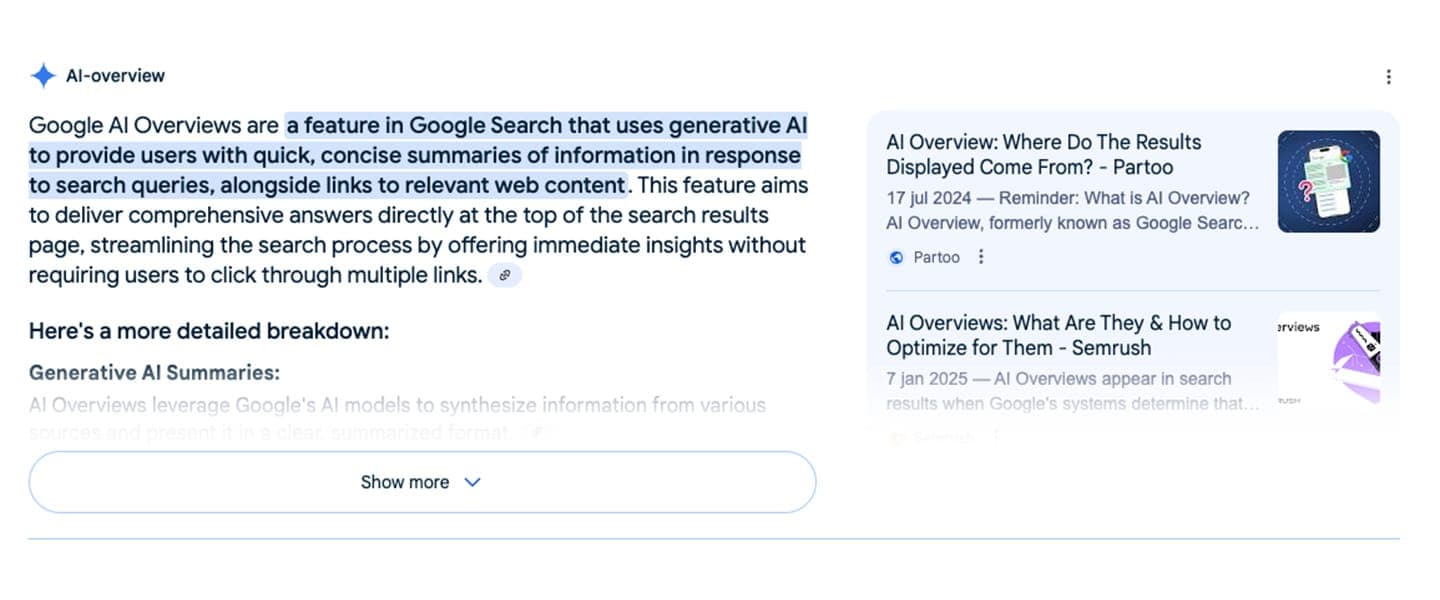 Google AI-overzicht voorbeeld