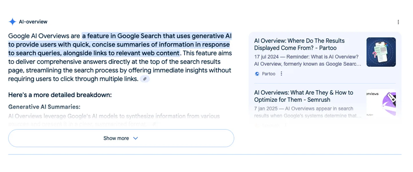 Google AI overview example
