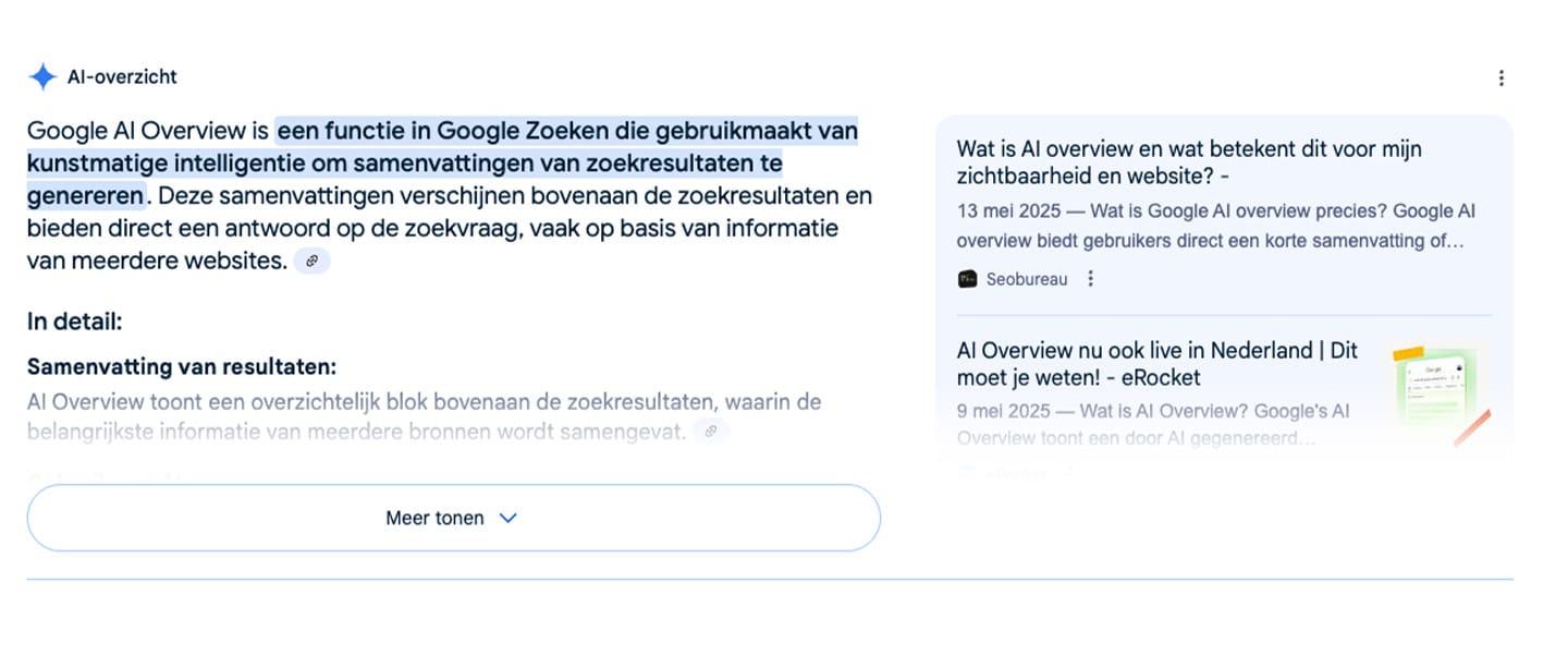 Google AI-overzicht voorbeeld
