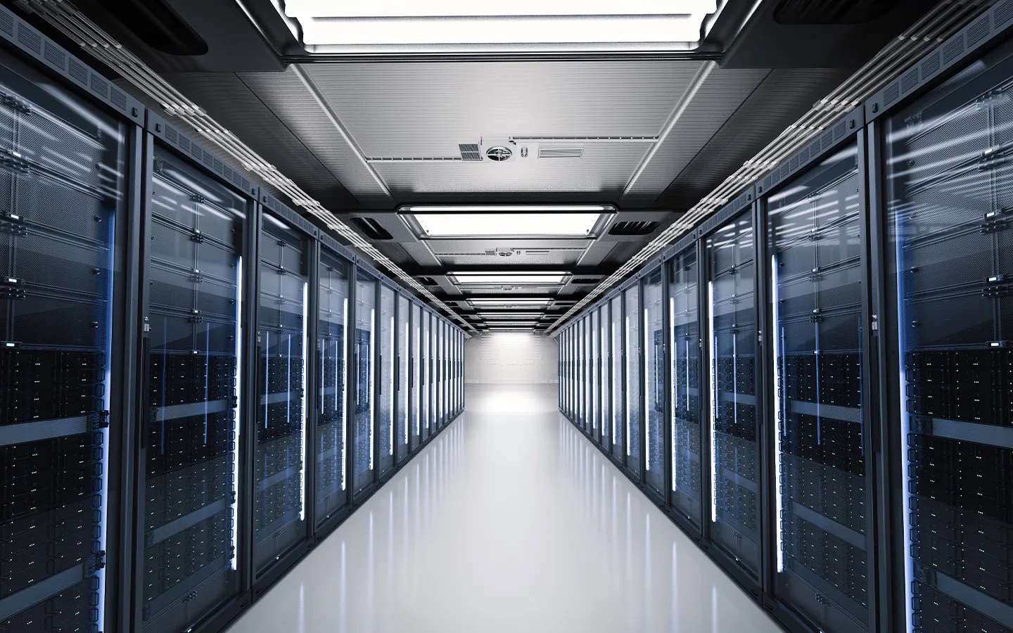 Servers where AI is stored